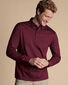 Long Sleeve Smart Jersey Polo - Wine