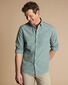 Button-Down Collar Non-Iron Stretch Poplin Mini Gingham Shirt - Green