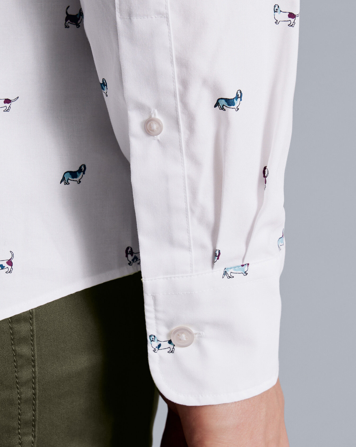 Button-Down Collar Non-Iron Hound Print Shirt - Multi | Charles
