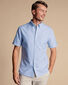 Washed Oxford Stripe Short Sleeve Shirt - Blue