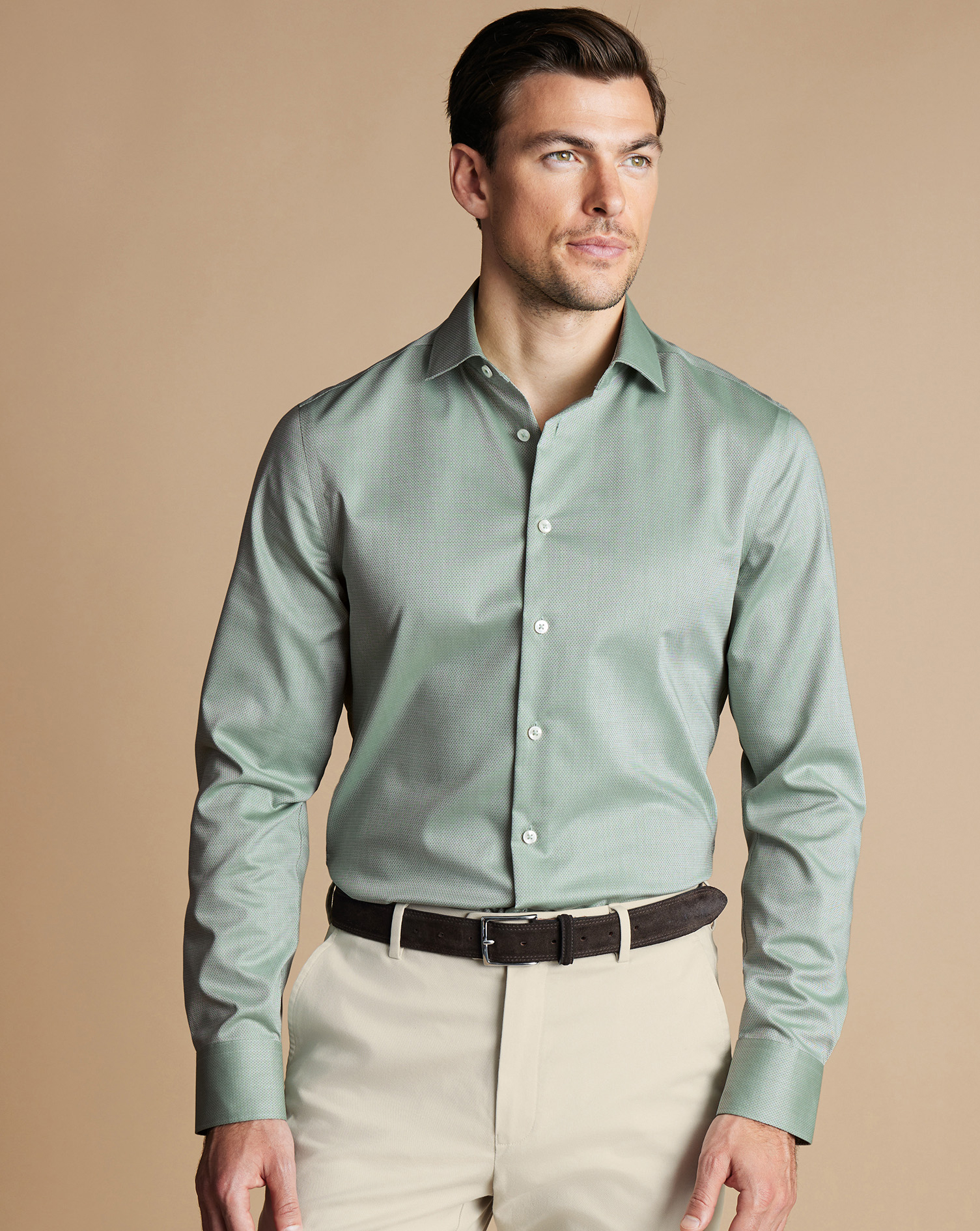 Non-Iron Stretch Texture Shirt  - Light Green