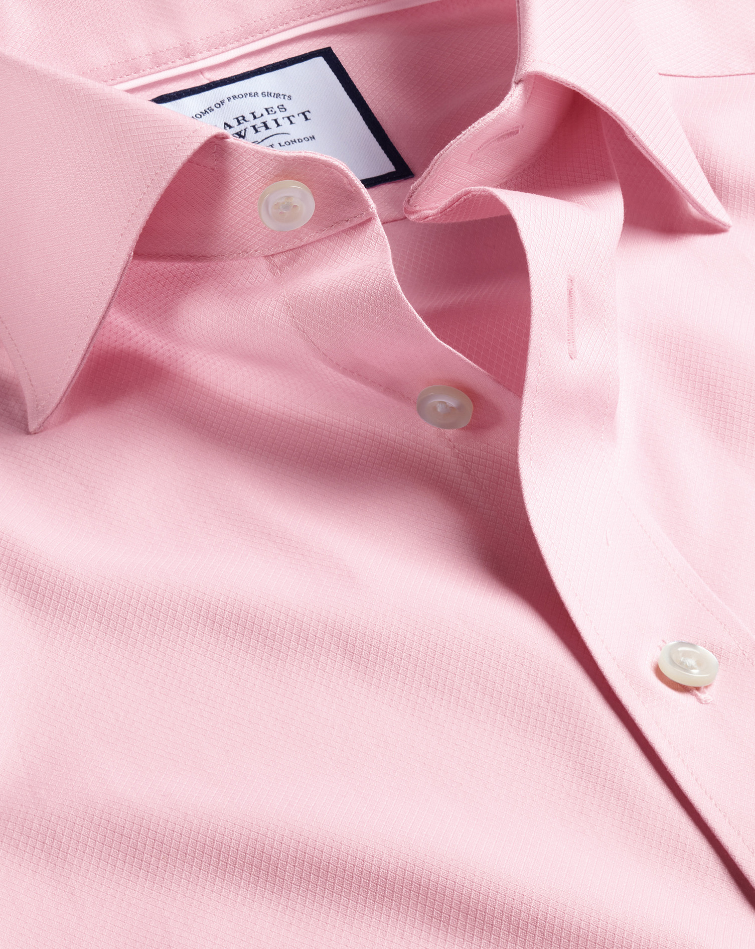 Semi-Cutaway Collar Egyptian Cotton Berkshire Weave Shirt - Pink