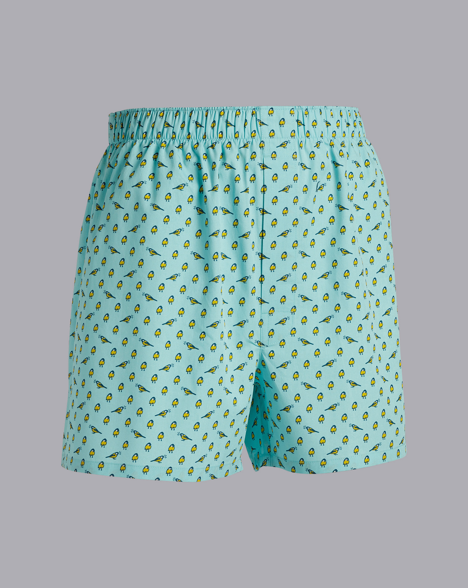 A Little Bird Told Me Motif Woven Boxers - Aqua Green