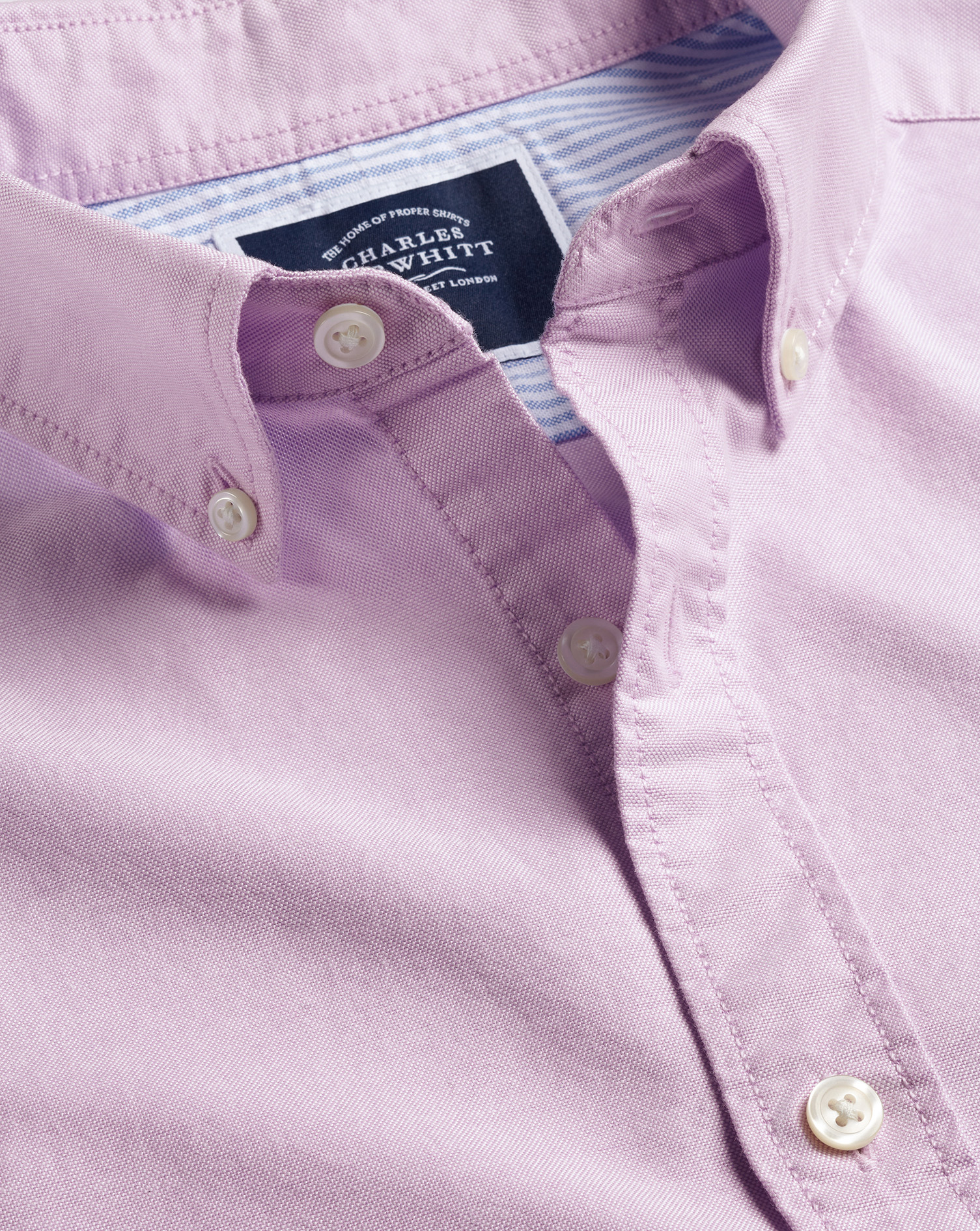 Charles Tyrwhitt Vorgewaschenes Oxfordhemd mit Button-down-Kragen - Violett Knopfmanschette